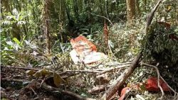 aviao-da-fab-e-encontrado-destruido-em-santa-catarina-e-com-os-dois-tripulantes-mortos