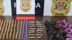 policia-confirma-que-droga-k9,-que-transforma-usuarios-em-‘zumbis’,-chegou-em-sc