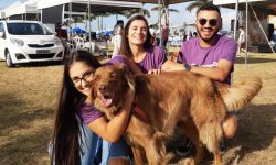 startup-acelerada-na-udesc-pela-esag-ventures-cresce-com-planos-de-saude-para-pets 