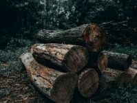 brasil-pode-recorrer-a-omc-contra-lei-europeia-sobre-desmatamento