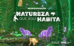 museu-de-florianopolis-inaugura-exposicao-“a-natureza-que-aqui-habita”