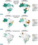 infogripe-destaca-aumento-de-casos-de-covid-19