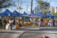 27a-edicao-do-fam-e-lancada-com-grande-presenca-de-publico