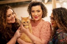 florianopolis-inaugura-o-primeiro-cat-cafe-de-santa-catarina