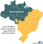 amazonia-sofre-com-devastacao-e-extrema-alteracao-climatica