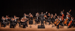 camerata-florianopolis-apresenta-concerto-erudito-com-obras-de-beethoven,-mendelssohn,-rossini-e-prokofiev