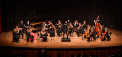 beethoven-estara-no-palco-do-cic-nesta-quarta-feira-com-a-camerata-florianopolis 