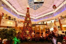 com-o-tema-“estacoes-do-natal”,-o-floripa-shopping-abriu-as-portas-para-a-magia-natalina-e-diversao-para-toda-familia 