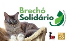 projeto-da-udesc-esag-tem-brecho-solidario-pela-causa-animal-nesta-quarta-e-quinta