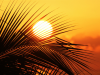 verao-em-santa-catarina-tera-temperatura-acima-da-media-e-forte-atuacao-do-el-nino