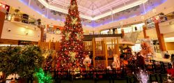 floripa-shopping-amplia-o-horario-de-atendimento-para-as-compras-de-ultima-hora