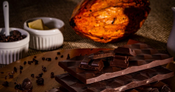 empresa-catarinense-de-chocolates-conquista-ouro-e-prata-em-premiacao-europeia 
