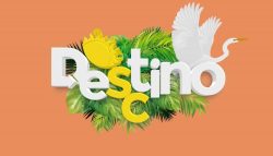 destino-sc-de-verao-lanca-edicao-especial-com-tendencia-mundial