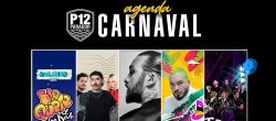 carnaval-no-p12-reune-bailinho,-musica-eletronica-e-pagode-durante-cinco-dias-de-festa