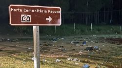 campeche-faz-carnaval-em-florianopolis-mesmo-apos-“expulsao”-e-deixa-rastro-de-lixo;-fotos
