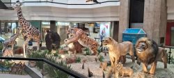 exposicao-interativa-transporta-o-publico-ao-habitat-de-animais-selvagens-com-replicas-ultrarrealistas-em-florianopolis