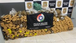 policia-apreende-mais-de-300-kg-de-maconha-nos-ingleses,-em-florianopolis